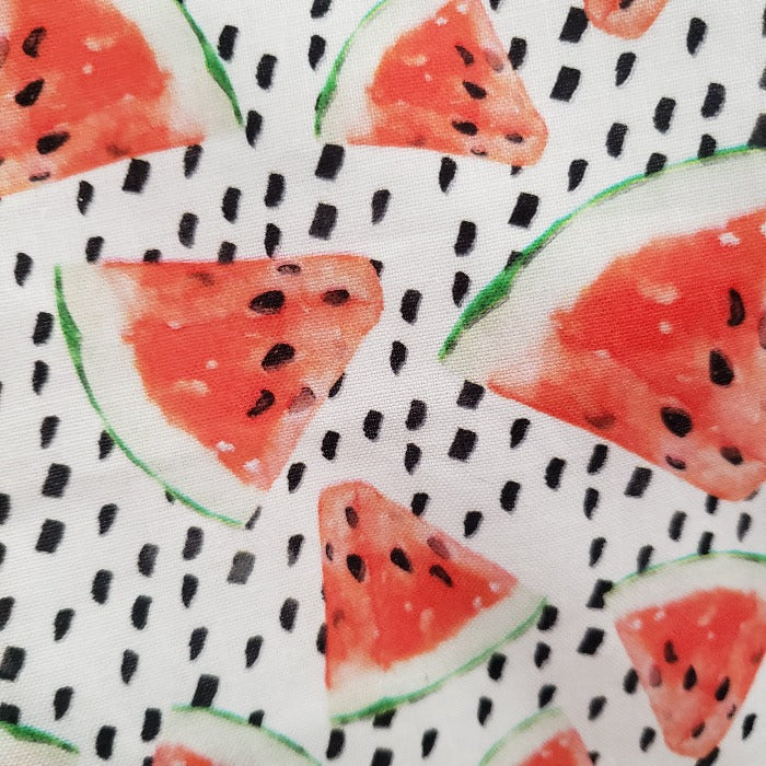 watermelon wet bag